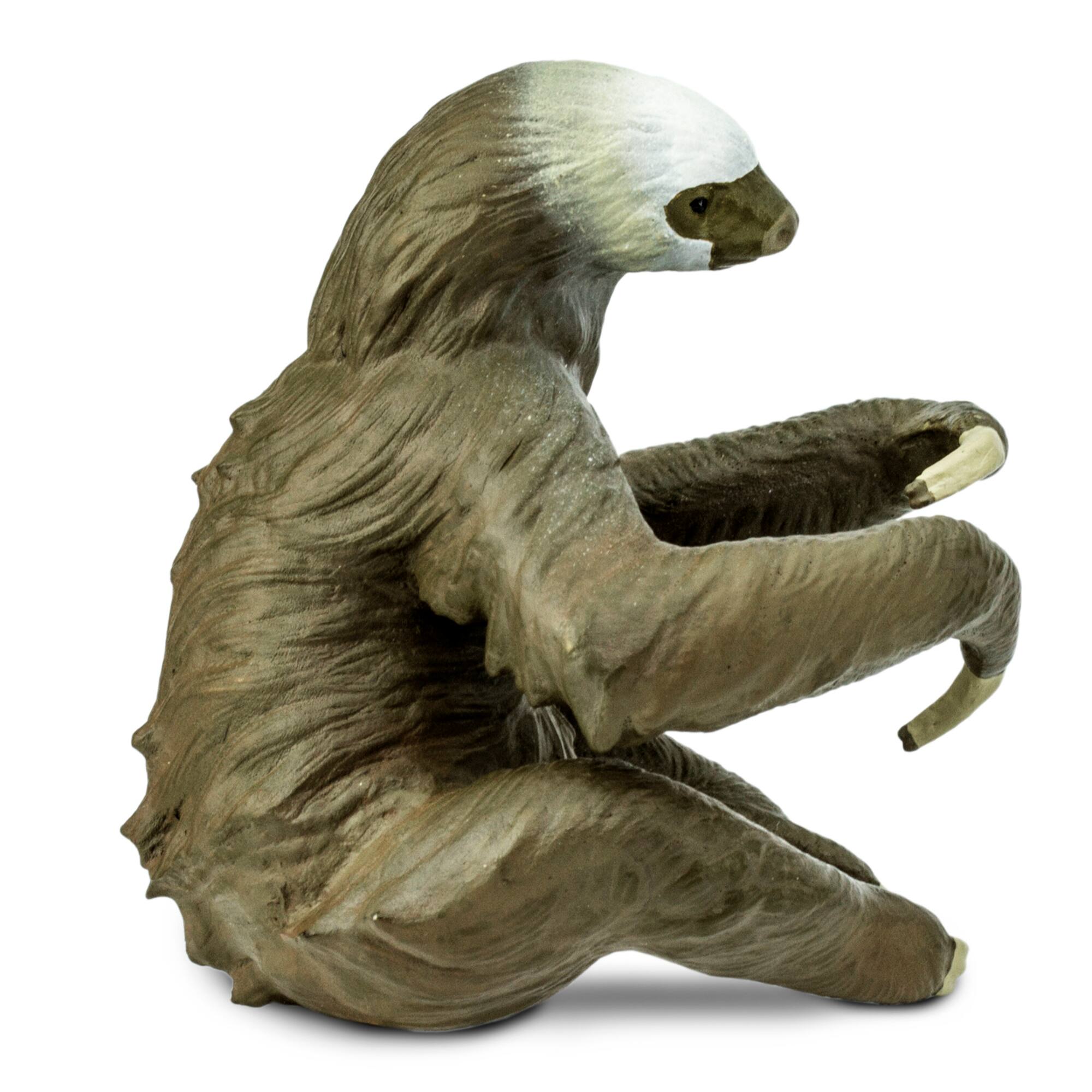 Safari Ltd® Two-Toed Sloth Toy